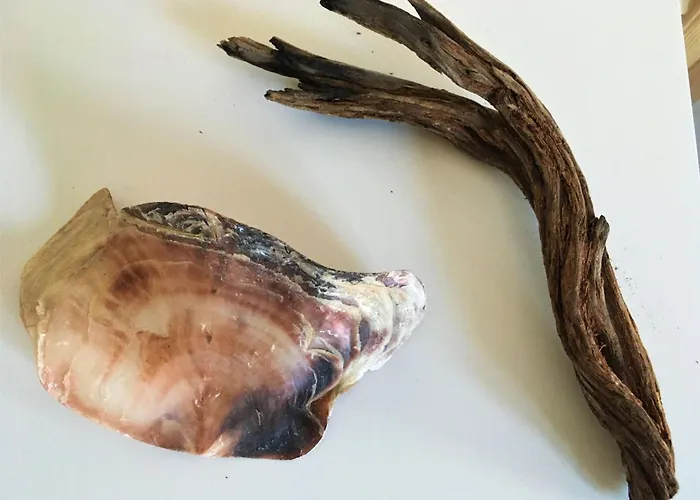 Lejlighed Fischerhus Luetthauke By Interhome *